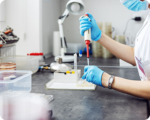 Çözüm 1,www.demo38.demoyeri.info